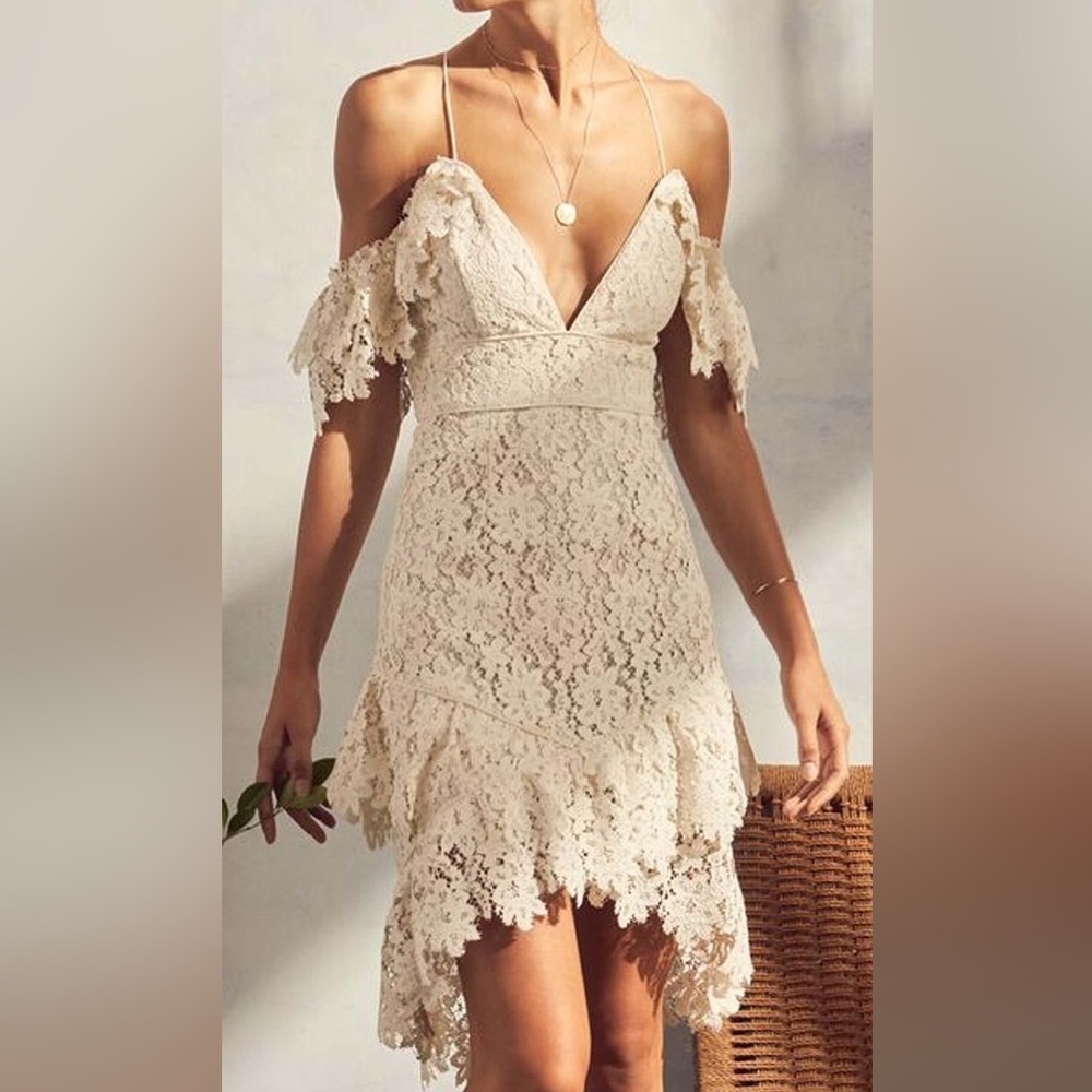 NWT Saylor Dana Dress - Painted white lace mini dress